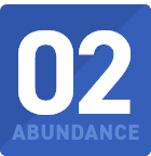 02 ABUNDANCE